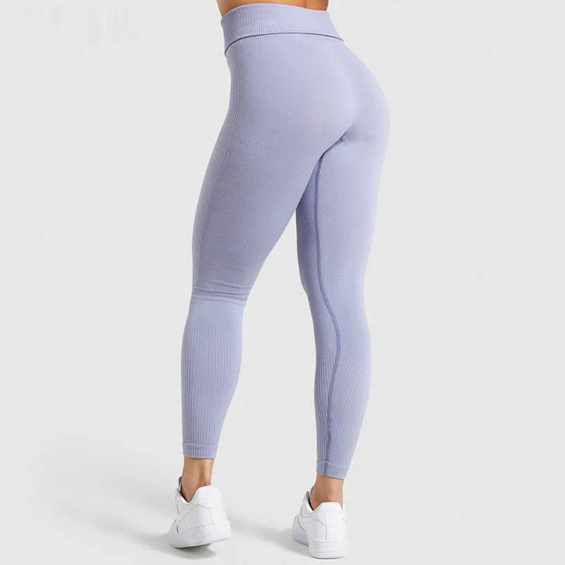Mira Seamless Träningsset